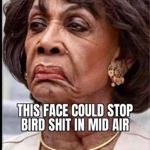 Meet your Posher, Todd